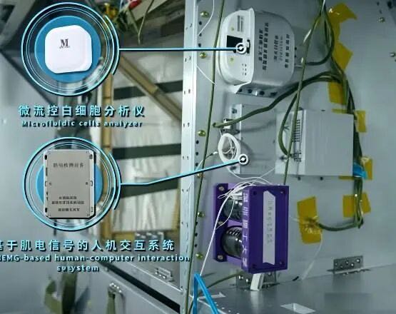 图片暂无法查看